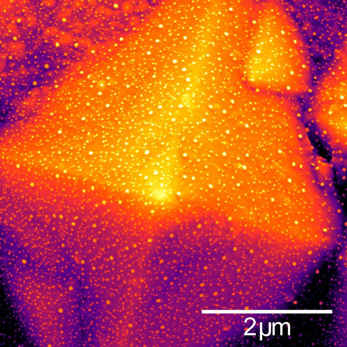Imagem MEV de silício texturizado com nanopartículas de Ag. 