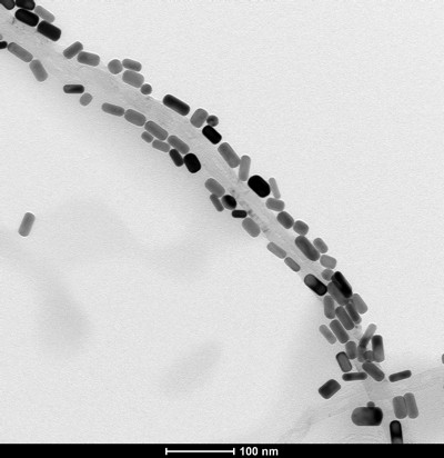 Imagem MET de nanobastes de ouro crescidos sobre nanotubo de carbono.