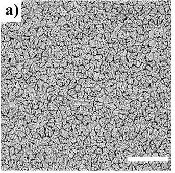 Imagem MEV de filme de estrutura perovskita com grande área (barra branca = 10 µm) mostra que filme é homogêneo e recobre todo o substrato.