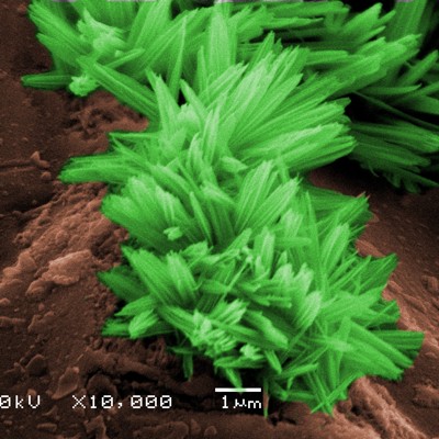 MEV de nanofolhas de Cu(OH)2 crescido sobre l?mina de cobre.