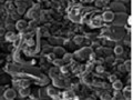 Primeiros resultados de nano partculas a partir de diamante CVD.
