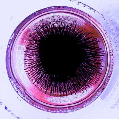 Nanopartculas core-shell seguindo as linhas de campo.
