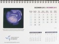 Pgina do calendrio de 2013.