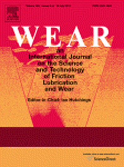 Wear de julho traz artigo de nossos pesquisadores