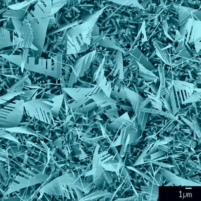 Imagem MEV digitalmente colorida de cristais de ZnO em formato de nanofolhas.