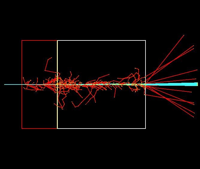 Simulacao com GEANT4-DNA da interacao de 10 protons de 2 MeV incidentes em um filme fino de 200 nm. 